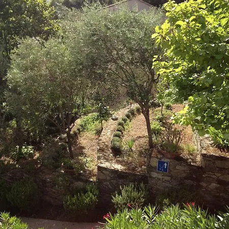 De Tourisme Fior Di Rena Daire Saint-Florent (Corsica)