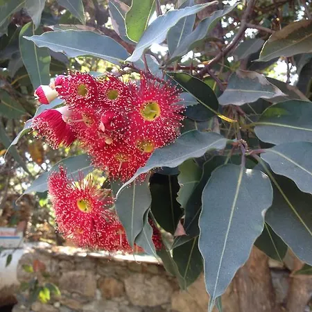 De Tourisme Fior Di Rena *