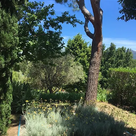 Daire De Tourisme Fior Di Rena *