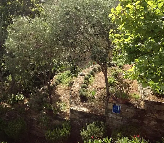 De Tourisme Fior Di Rena 公寓 圣弗洛朗