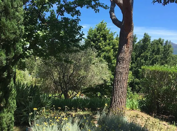 公寓 De Tourisme Fior Di Rena *