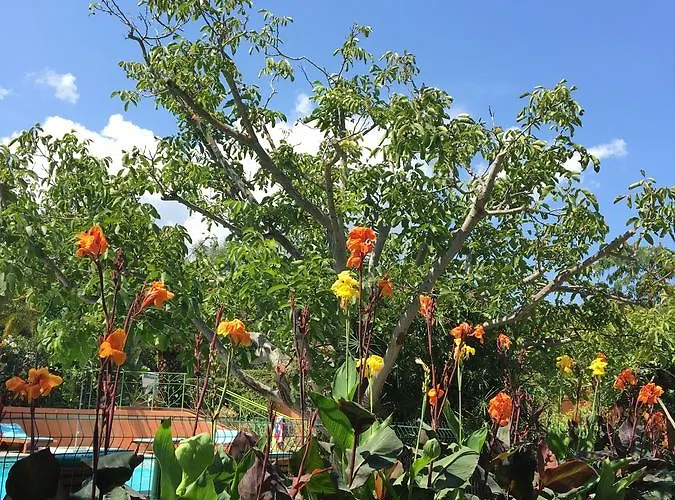 公寓 De Tourisme Fior Di Rena *