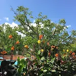 Apartman De Tourisme Fior Di Rena *
