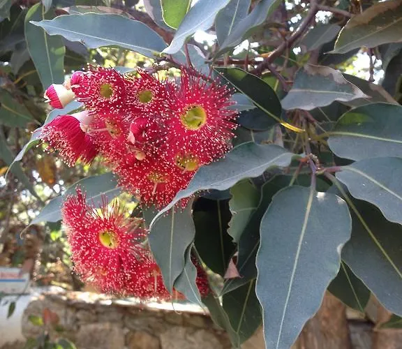 De Tourisme Fior Di Rena *